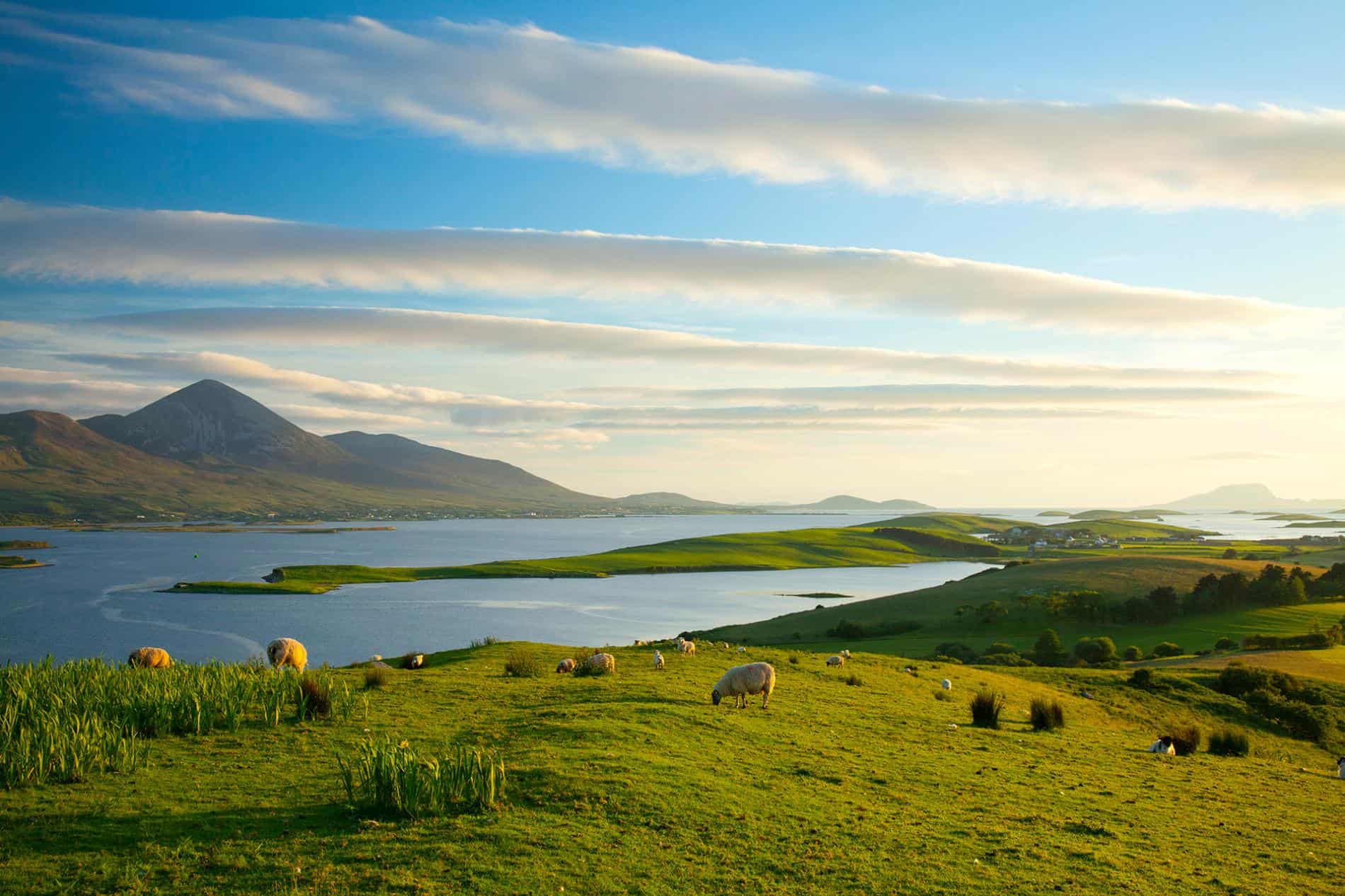 Immersion Homestays in Ireland
